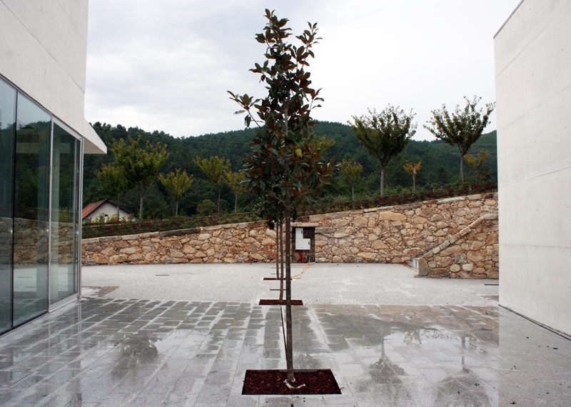 Município de Boticas